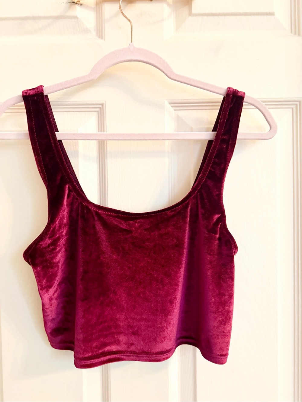 NWT purple velvet Anthropologie tank